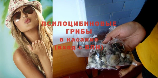 дурь Алзамай