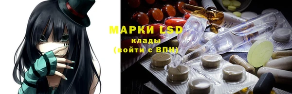дурь Алзамай