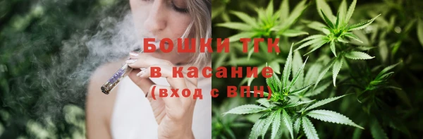 ПСИЛОЦИБИНОВЫЕ ГРИБЫ Абаза