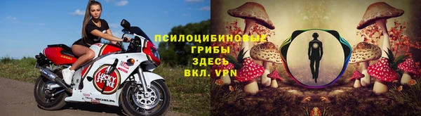 apvp Алексеевка