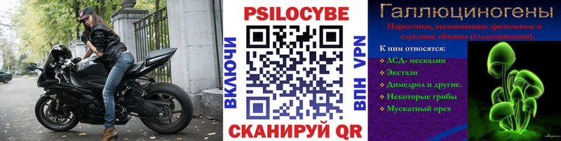 даркнет сайт  Дмитровск  Галлюциногенные грибы Psilocybe 